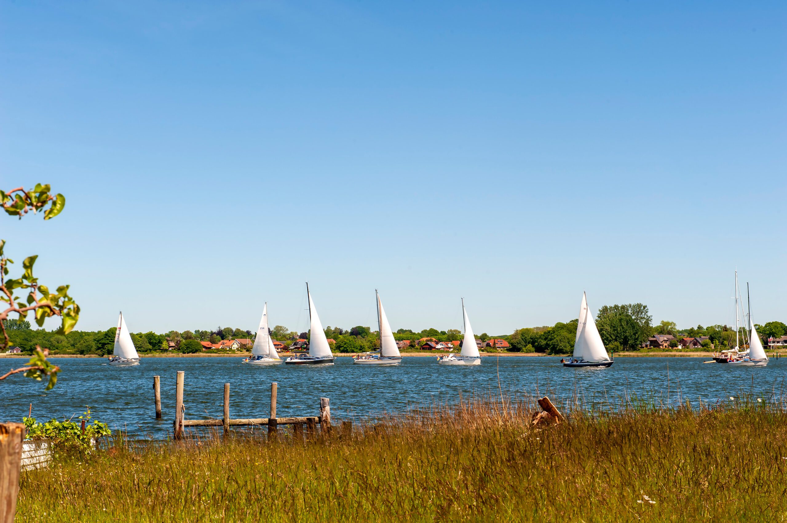 Voiliers sur la Schlei devant la ville d’Arnis, Schleswig-Holstein, Allemagne